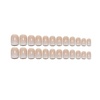 image:image24Pcs Short Square French Tip Press on Fake Nails in White Pink Nude  Full Cover Acrylic Nail Tips for Women and GirlsPink  White